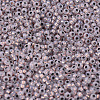 MIYUKI Round Rocailles Beads SEED-X0054-RR0198-3