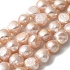 Natural Cultured Freshwater Pearl Beads Strands PEAR-A006-10F-2