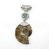 Gemstone Fossil Snail Big Pendants G-F062-M-3