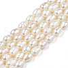 Natural Cultured Freshwater Pearl Beads Strands PEAR-N012-04B-3