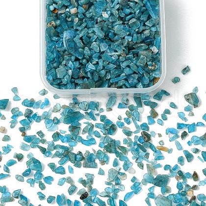 60G(672pcs) Natural Apatite Chip Beads G-YW0001-83-1