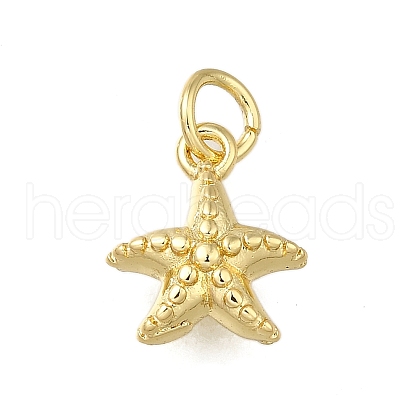 Brass Charms ZIRC-I070-085G-1