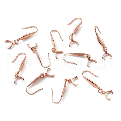 316 Stainless Steel Earring Hooks STAS-WH0031-18RG-1