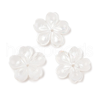 Natural White Shell Carved Beads SSHEL-I026-12D-05-1