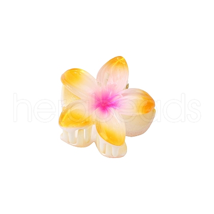 Plastic Claw Hair Clips PW-WG07B2B-10-1