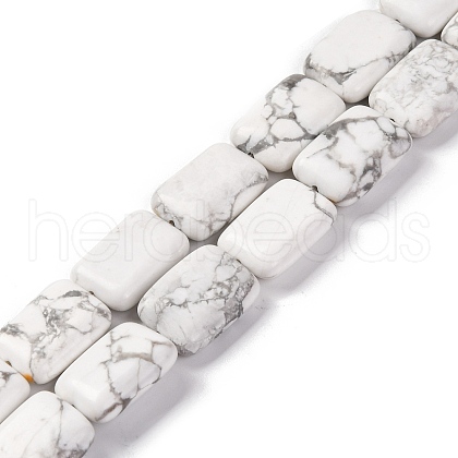 Natural Howlite Beads Strands G-T047-B23-01-1