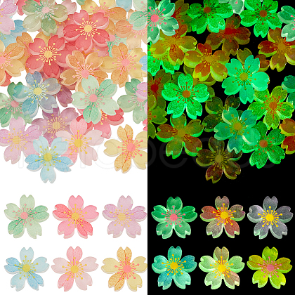 AHADERMAKER 60Pcs 6 Colors Luminous Resin Cabochons RESI-GA0001-30-1-1