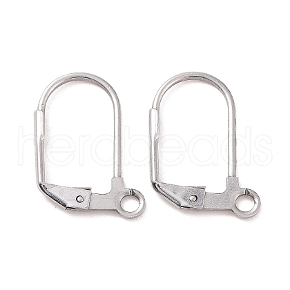 Tarnish Resistant 304 Stainless Steel Leverback Earring Findings STAS-E007-6-01-1