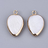 Edge Plated Freshwater Shell Pendants SHEL-S276-37-2