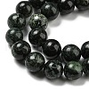 Natural Serpentine Beads Strands G-P504-10mm-01-4