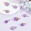 GOMAKERER 8Pcs 2 Styles Raw Rough Natural Amethyst Pendants G-GO0001-21-4