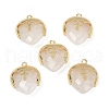 Natural Mixed Stone Faceted Pendants G-K347-09G-2
