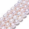 Natural Cultured Freshwater Pearl Beads Strands X-PEAR-N012-09B-1