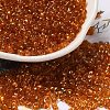 Spray Painted Glass Seed Beads SEED-F005-05A-03-1