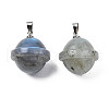 Natural Labradorite Pendants PORC-T132-053C-2