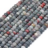 Natural African Bloodstone Beads Strands G-P575-A55-8x5mm-2