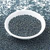 MIYUKI Round Rocailles Beads SEED-G007-RR0456-2