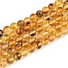 Natural Amber Beads Strands G-K387-D02-03-1