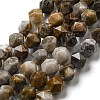 Natural Gobi Agate Beads Strands G-NH0012-B03-01-2