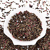 Electroplate Glass Seed Beads GLAA-SZC0007-01C-1