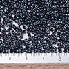 MIYUKI Round Rocailles Beads X-SEED-G007-RR2009-4
