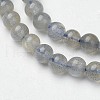 Natural Labradorite Beads Strands G-F362-08-5mm-3