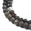 Natural HuBei Turquoise Beads Strands G-G140-A05-05-3