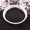 MIYUKI Round Rocailles Beads SEED-X0056-RR2402-2