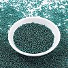 MIYUKI Round Rocailles Beads X-SEED-G007-RR0030-2