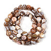Natural Freshwater Shell Beads Strands SHEL-T020-28-2