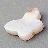 Natural Sea Shell Beads SSHEL-Q296-30-2