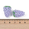 Handmade Lampwork Enamel Beads LAMP-U004-07G-3