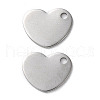 304 Stainless Steel Charms STAS-V007-03H-P-1