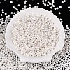 Glass Seed Beads SEED-T007-01B-1