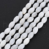 Natural Freshwater Shell Beads Strands X-SHEL-N027-08A-2
