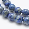 Natural Lapis Lazuli Beads Strands G-E489-01-10mm-3