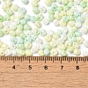 6/0 Glass Seed Beads SEED-M012-01A-04-4