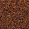 MIYUKI Round Rocailles Beads X-SEED-G007-RR0005-3