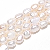 Natural Cultured Freshwater Pearl Beads Strands PEAR-N014-05F-01-2