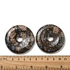 Natural Glaucophane Pendants G-P532-01A-05-3