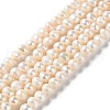 Natural Cultured Freshwater Pearl Beads Strands PEAR-E018-72-1