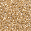 MIYUKI Delica Beads SEED-J020-DB0099-3