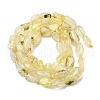 Natural Gold Prehnite Beads Strands G-K395-A07-01-3