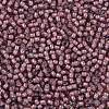 TOHO Round Seed Beads SEED-JPTR11-0305-2