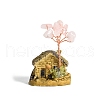Resin Display Decorations DJEW-PW0009-002B-03-1