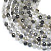 Natural Cloudy Quartz Beads Strands G-K389-B40-01-3