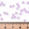 Luminous Transparent Glass Seed Round Beads GLAA-F124-D09-B-5