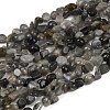 Natural Labradorite Beads Strands G-Q060-E20-02-2