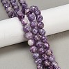 Natural Lepidolite Beads Strands G-U026-A06-10mm-1