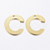 304 Stainless Steel Charms X-STAS-P141-C-1